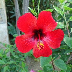 2015-09-05 07-12-54 Hotel